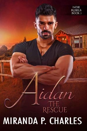 [Indie Rebels 05] • Aidan · The Rescue